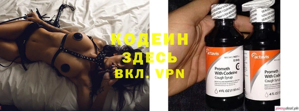 индика Абинск