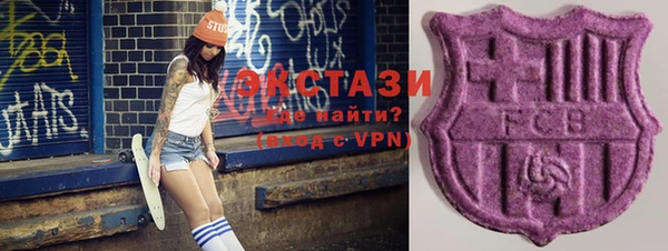 индика Абинск