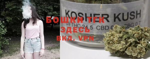 индика Абинск