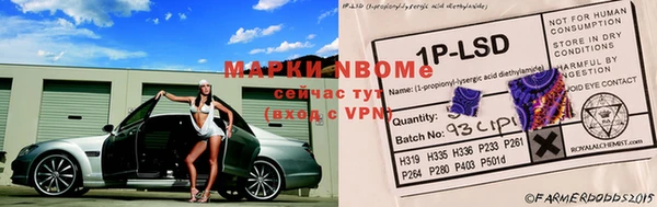 ПСИЛОЦИБИНОВЫЕ ГРИБЫ Осташков