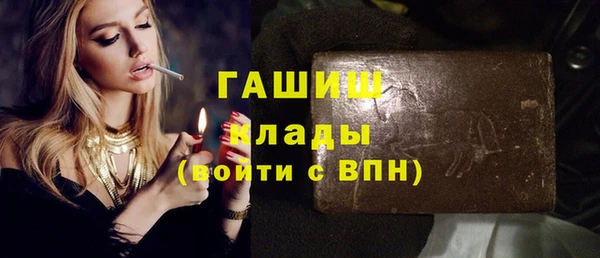 индика Абинск