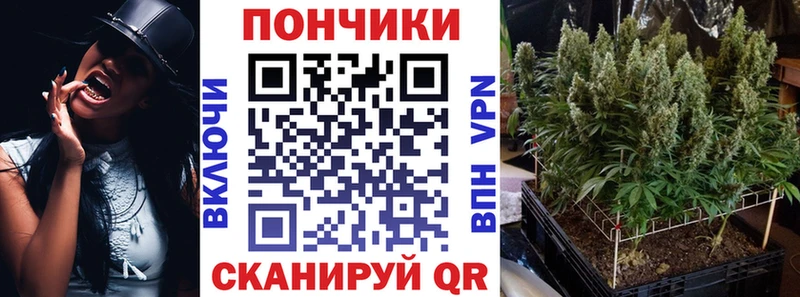 МАРИХУАНА план  купить   Власиха 